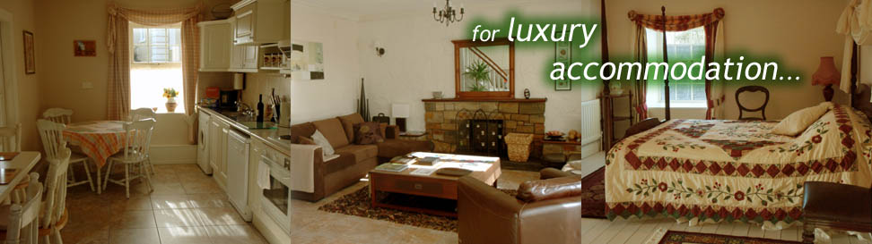 Slideshow Image 4