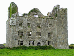 lemeneagh_castle_thumb_3785